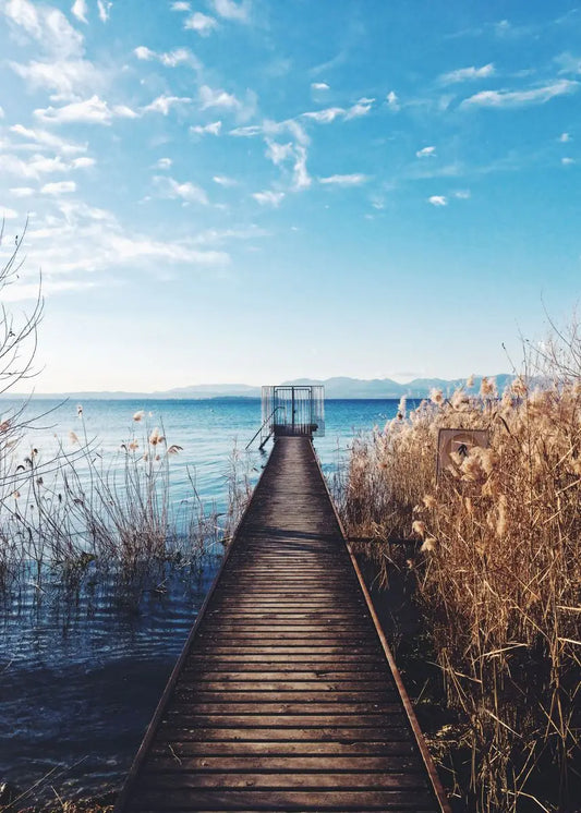 Wooden Walkway