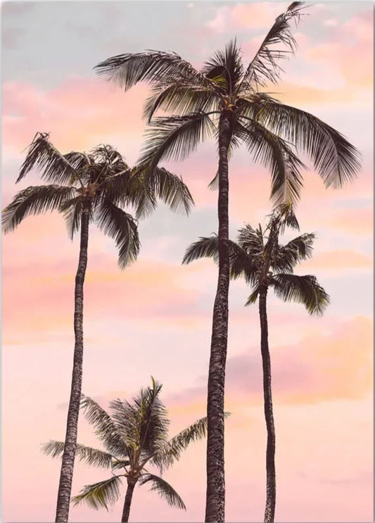 Pink Palm Trees