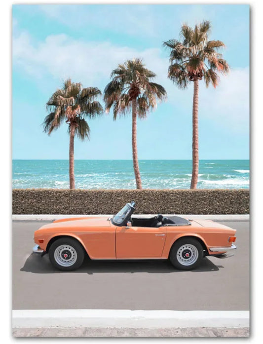 Palms & Cabrio