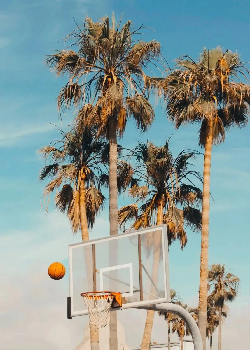 Palms "Basketball"